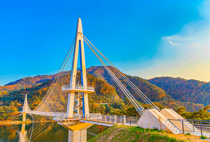 자연 그대로의 매력🌲